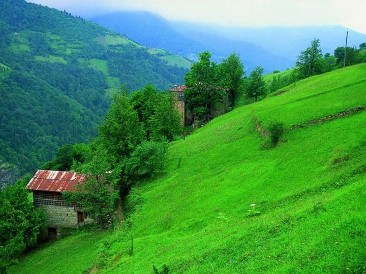 Biz Rize'yi Size Getirdik 13