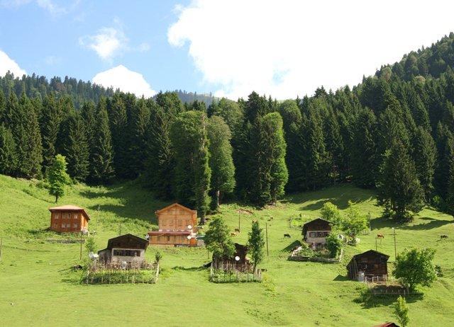 Biz Rize'yi Size Getirdik 16