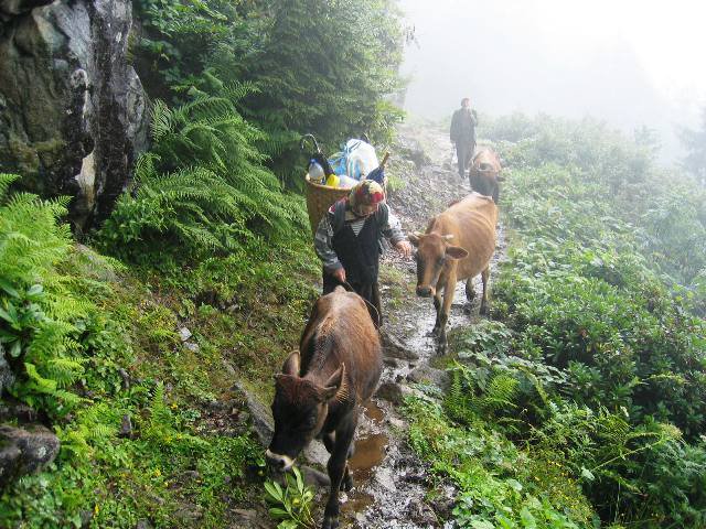 Biz Rize'yi Size Getirdik 22