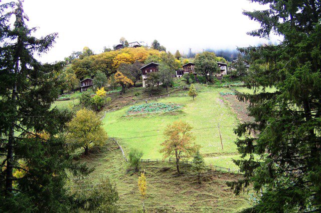 Biz Rize'yi Size Getirdik 4