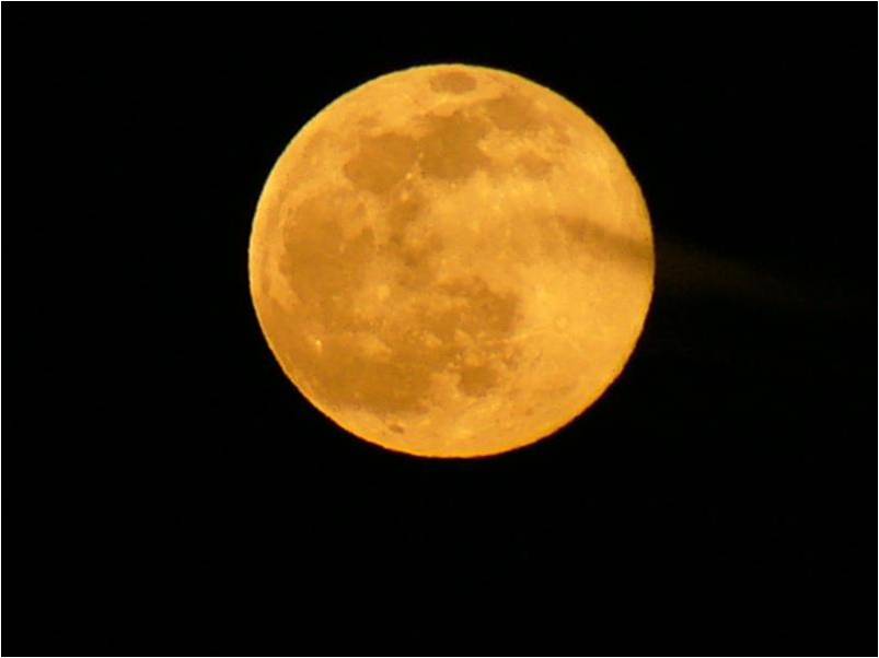 MUHTESEM FOTOGRAFLAR BAKMAYAN YAZIK EDER‏ 1