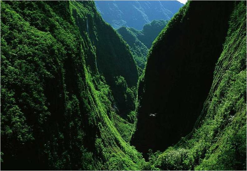 MUHTESEM FOTOGRAFLAR BAKMAYAN YAZIK EDER‏ 25
