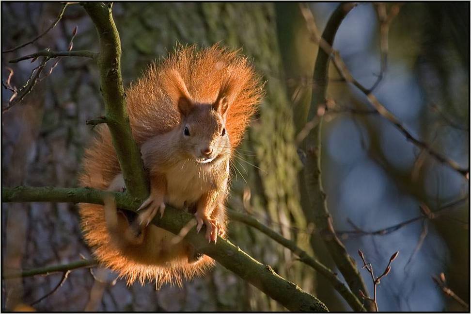 MUHTESEM FOTOGRAFLAR BAKMAYAN YAZIK EDER‏ 41