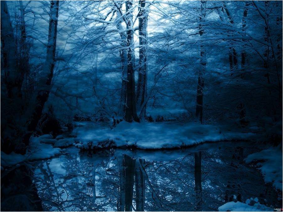 MUHTESEM FOTOGRAFLAR BAKMAYAN YAZIK EDER‏ 5