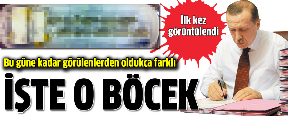 İşte Başbakan'ın ofisinden çıkan böcek