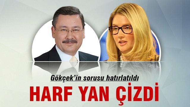 ABD sözcüsü Harf, Gökçek'e cevap veremedi