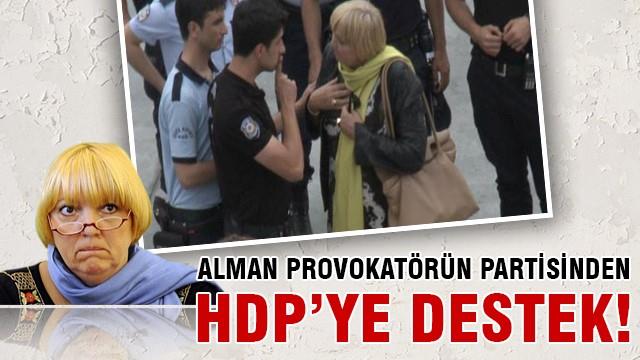 Gezici Yeşiller Partisi'nden HDP'ye destek