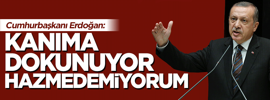 Cumhurbaşkanı Erdoğan: Kanıma dokunuyor, hazmedemiyorum