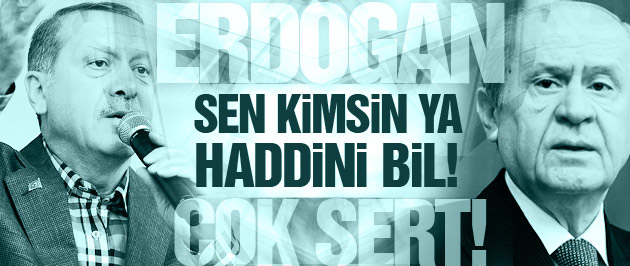 Erdoğan'dan Bahçeli'ye Diyanet cevabı: Sen kimsin!
