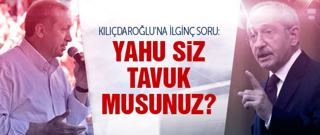 Erdoğan'dan Kılıçdaroğlu'na: Sen tavuk musun?