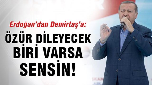 Erdoğan'dan Demirtaş'a: Özür dileyecek biri varsa sensin