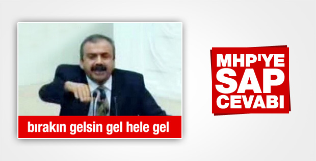Sırrı Süreyya Önder'den MHP'nin sap sözüne yanıt