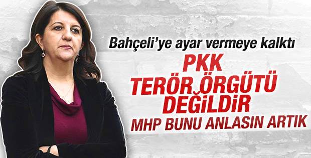 Pervin Buldan'dan PKK terör örgütü değildir açıklaması