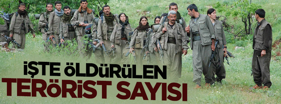 İşte operasyonlarda öldürülen terörist sayısı