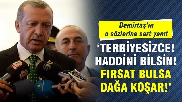 Erdoğan'dan Demirtaş'a çok sert sözler: Terbiyesizce, haddini bilsin!