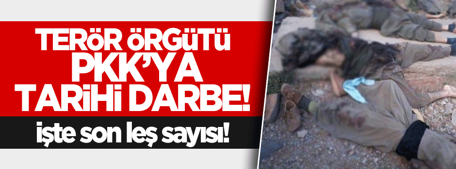 PKK'ya tarihi darbe: 1288 leş!