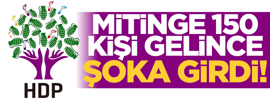 HDP'yi seven 150 kişi bulabildi!