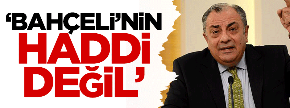 Tuğrul Türkeş: Bahçeli'nin haddi değil