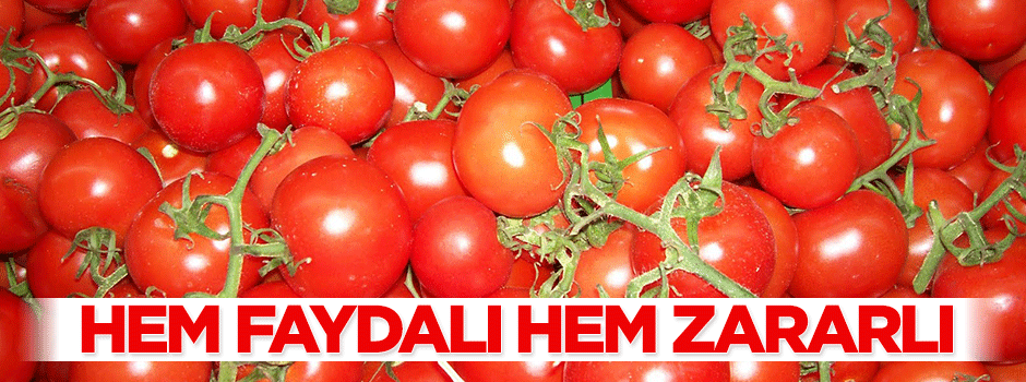 Mutfağımızın vazgeçilmezi domatesin faydaları ve zararları!
