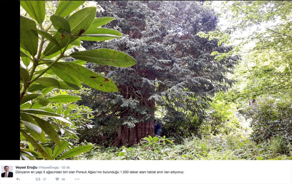 Süper lig ekiplerinden Hatay için "fidan" kampanyasına destek