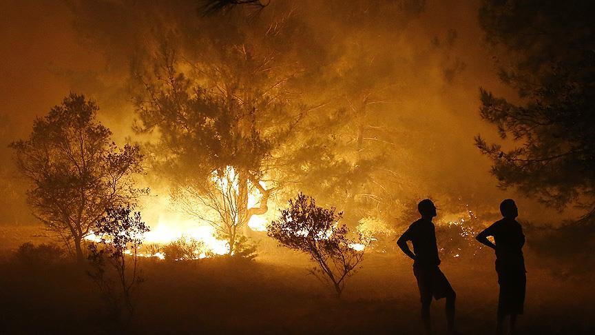 ABD'de orman yangını: 3 ölü