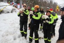İtalya'daki çığ felaketi