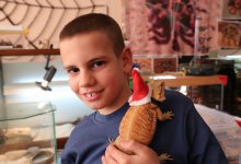 Son 'Tarantula' Bükücü!