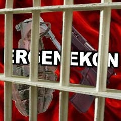 Ergenekon Bir Terör Örgütü mü?