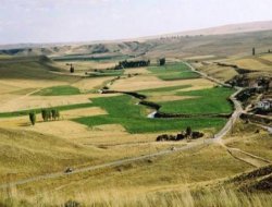 2B Arazisi İşlemlerinde Başvurular Ne Zaman?