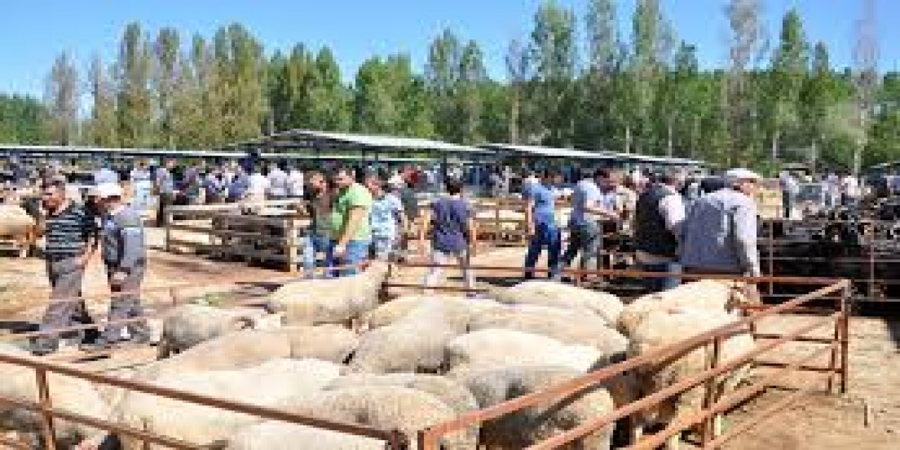 Jandarmadan kurban pazarında Kovid-19 ve dolandırıcılığı önlemeye yönelik denetim