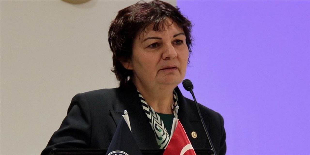 CHP'li Karabıyık'tan "İstanbul Sözleşmesi"ne ilişkin açıklama: