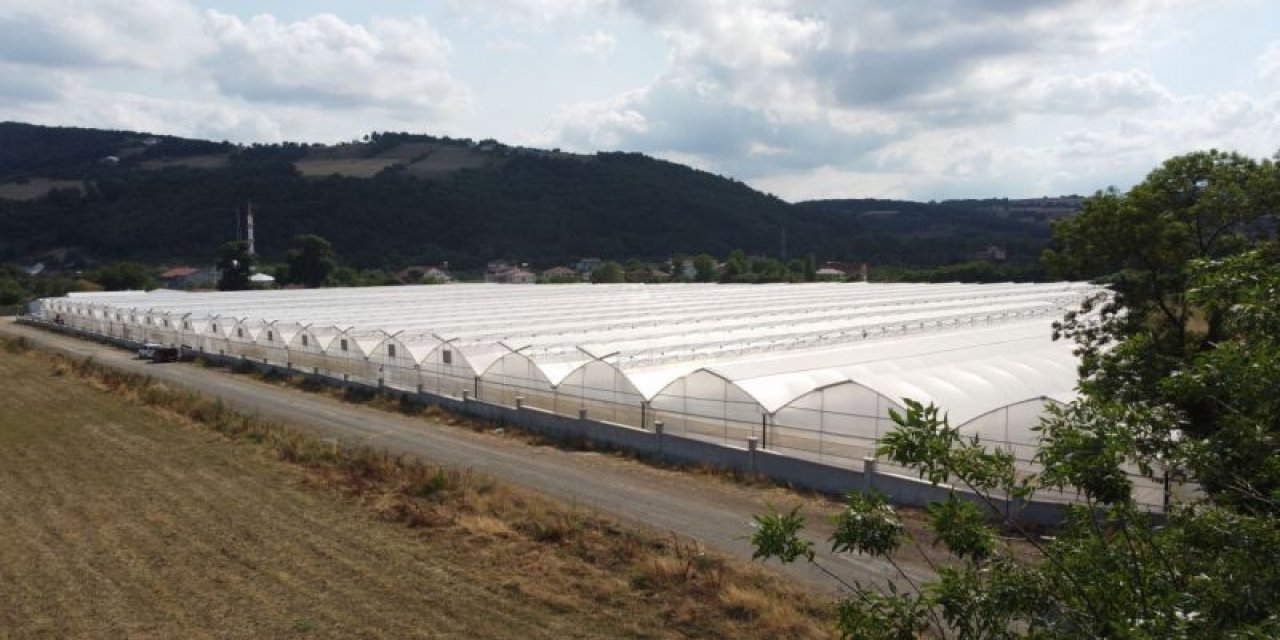 Hobisi sayesinde 22 bin metrekarelik serası oldu