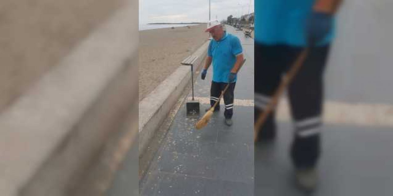 Samsun'da sahilden her gün 200 kilogram çekirdek kabuğu toplanıyor