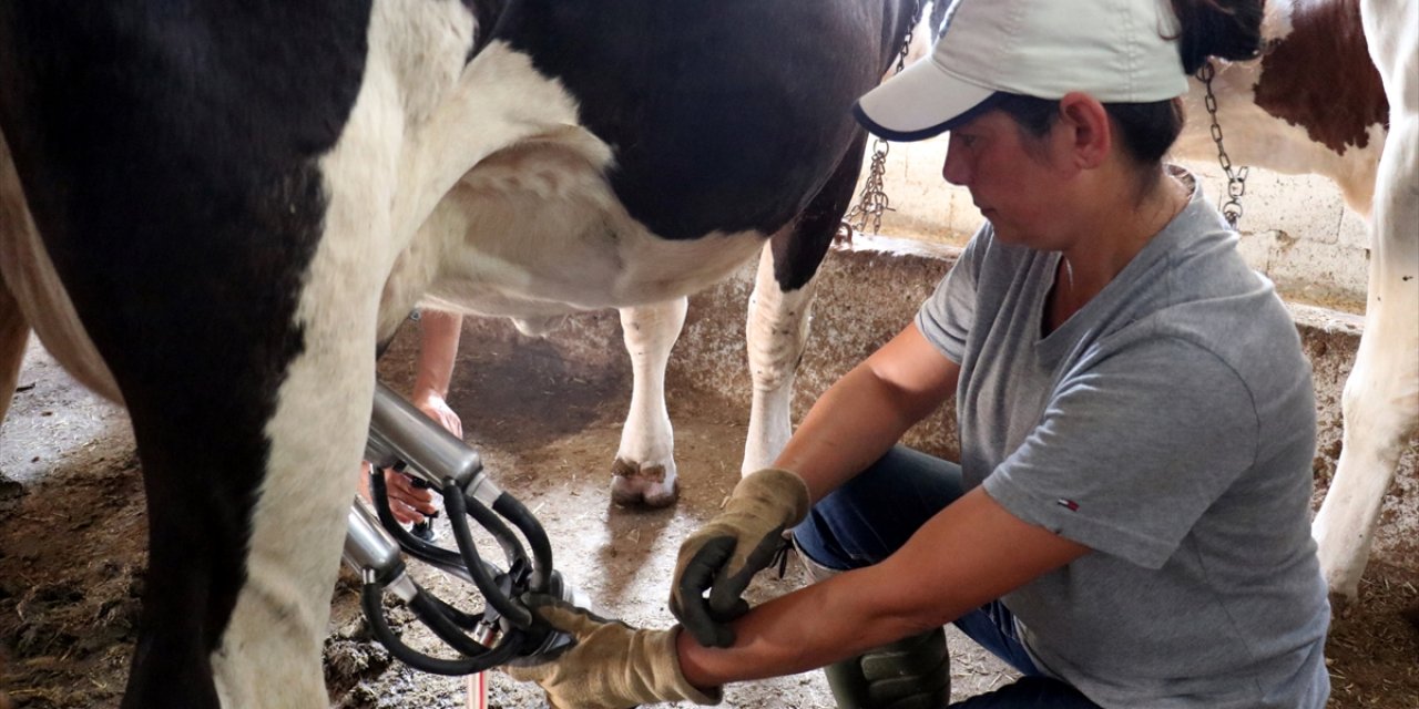 Metropolün stresinden kaçtı, gelin geldiği köyde "hanım ağa" oldu