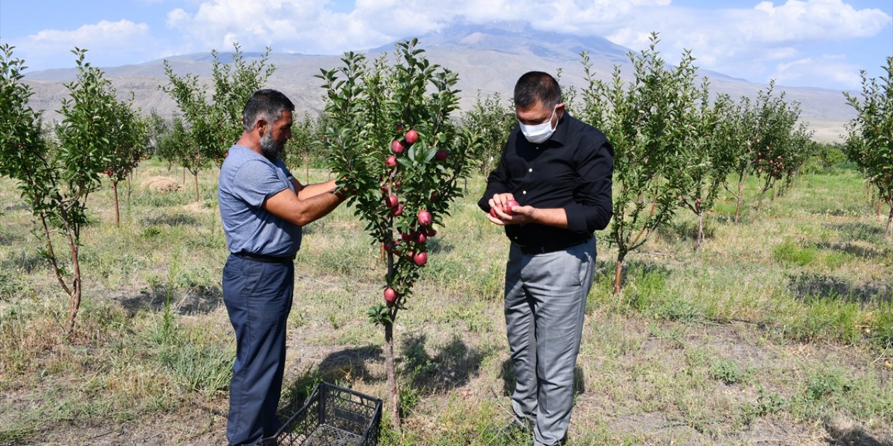 Çorak araziyi bahçeye dönüştüren esnaf tonlarca meyve yetiştiriyor