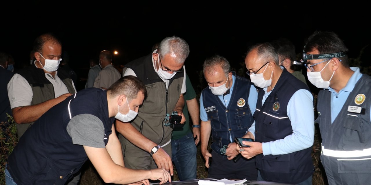 Kastamonu'daki orman yangınına müdahale sürüyor