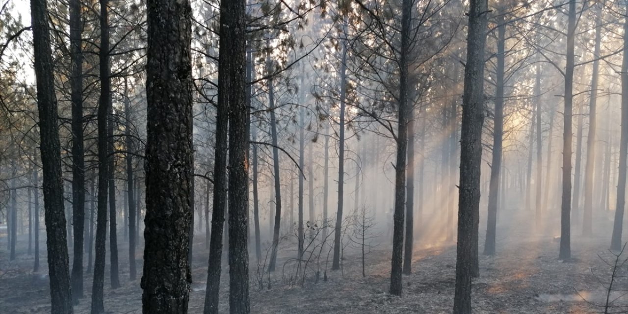 Kütahya'da orman yangınında 2,5 hektar alan zarar gördü