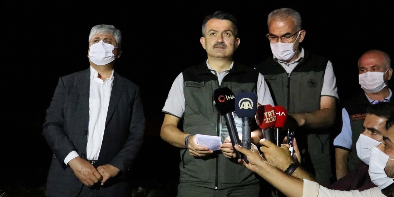 Tarım ve Orman Bakanı Pakdemirli'den, Hatay'daki orman yangınına ilişkin açıklama