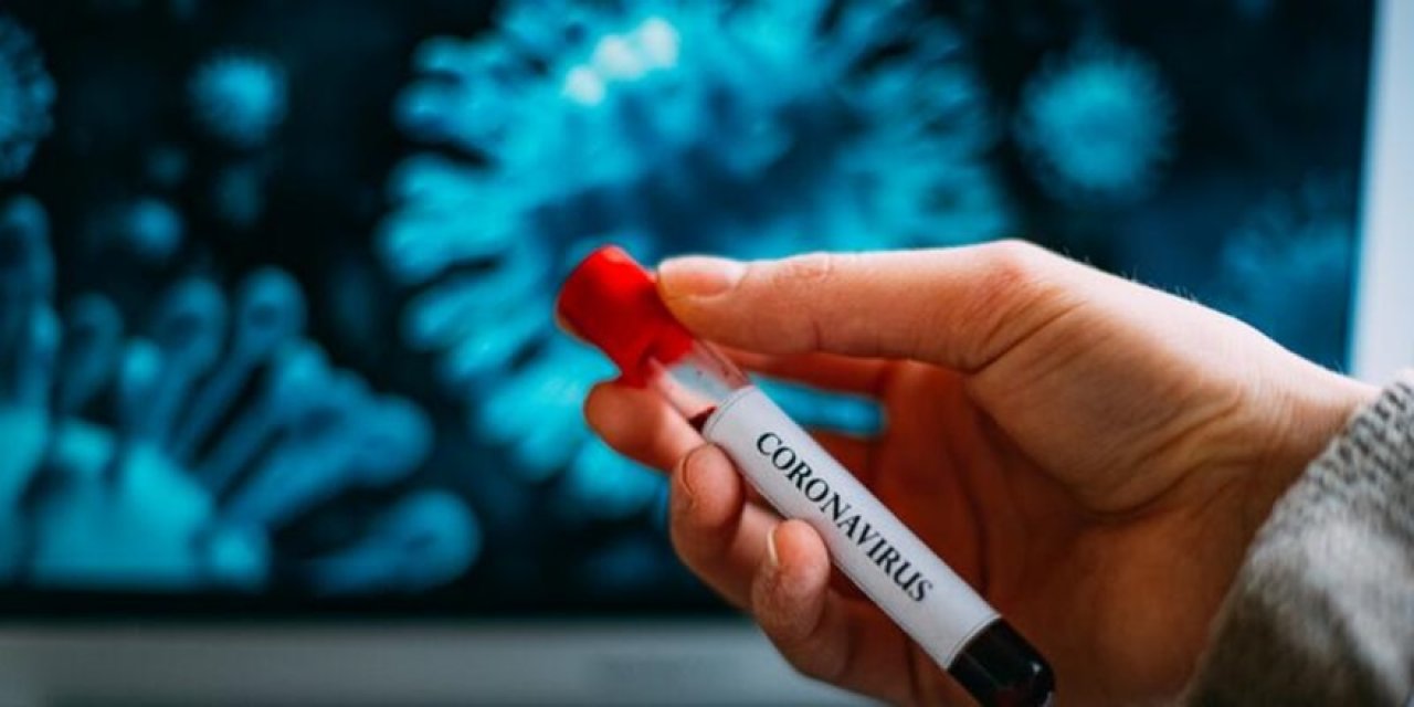 Türkiye'nin koronavirüsle mücadelesinde son 24 saatte yaşananlar