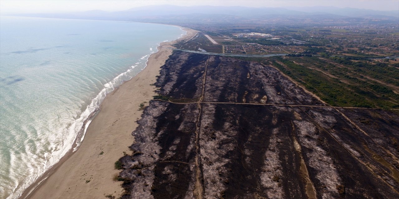 Kızılırmak Deltası Kuş Cenneti'ndeki yangın