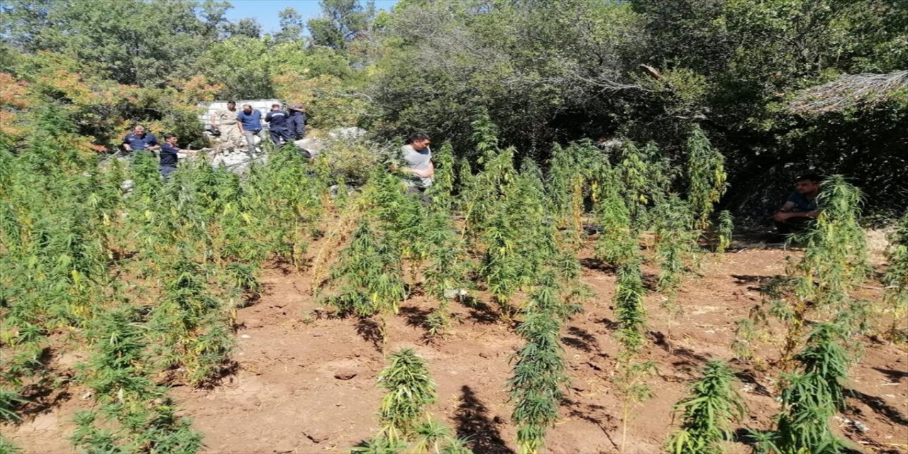 Manisa'da uyuşturucu operasyonu