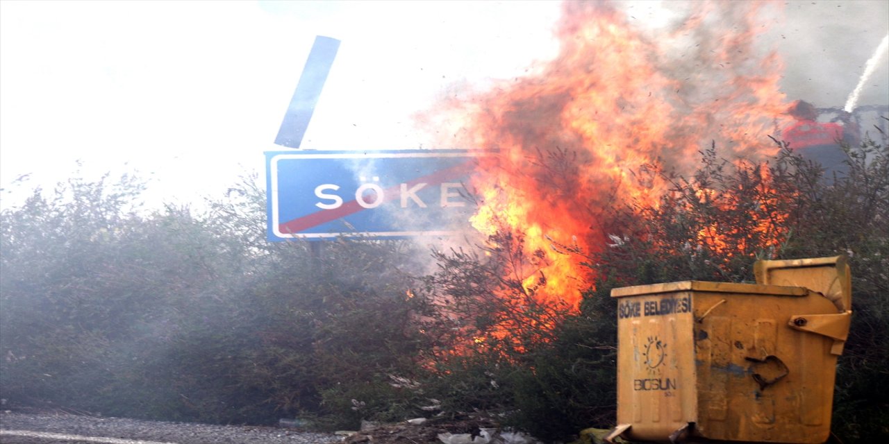 Aydın'da zeytinlik ve makilik alanda yangın çıktı