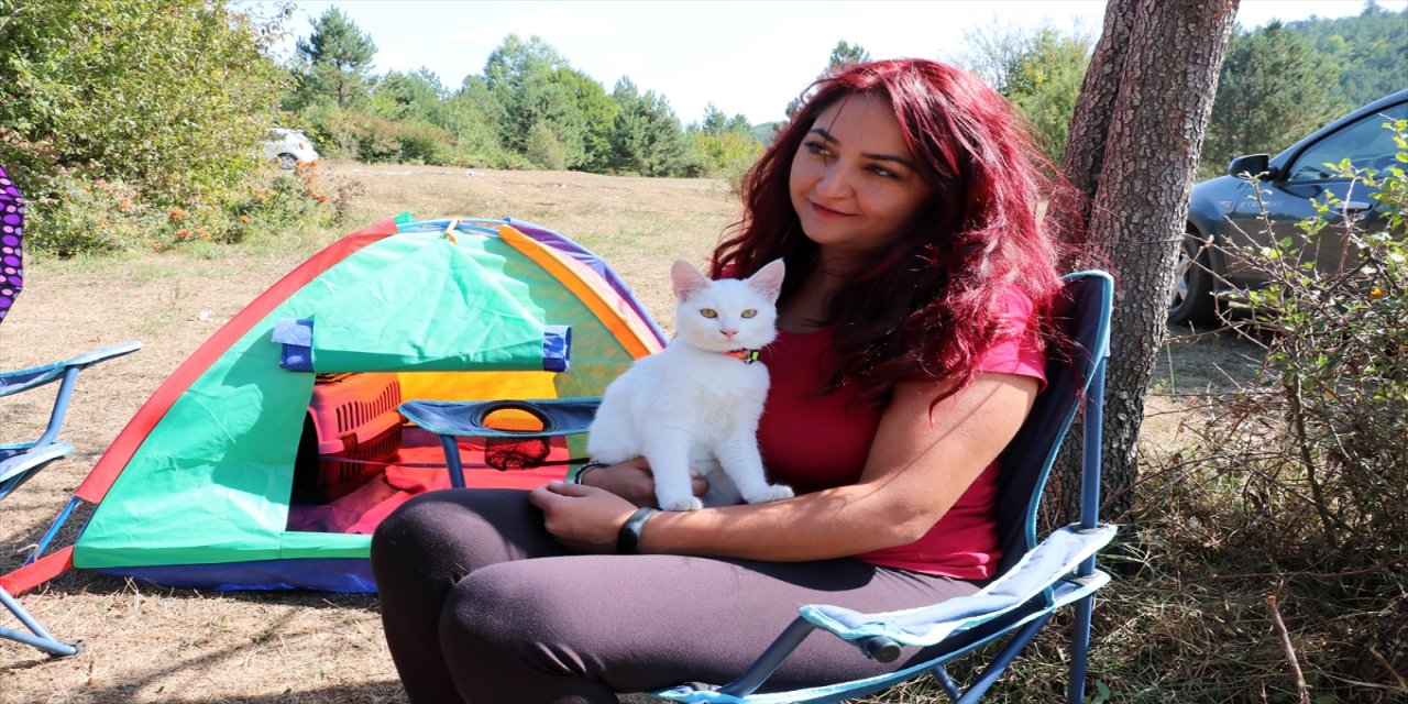 Sosyal medya üzerinden buluşan doğaseverler "Tabiatın kalbi"nde kamp yapıyor