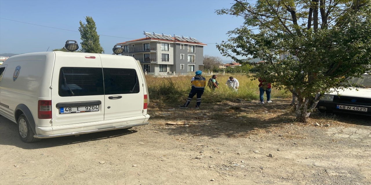Muğla'da yeni doğmuş bebek cesedi bulundu