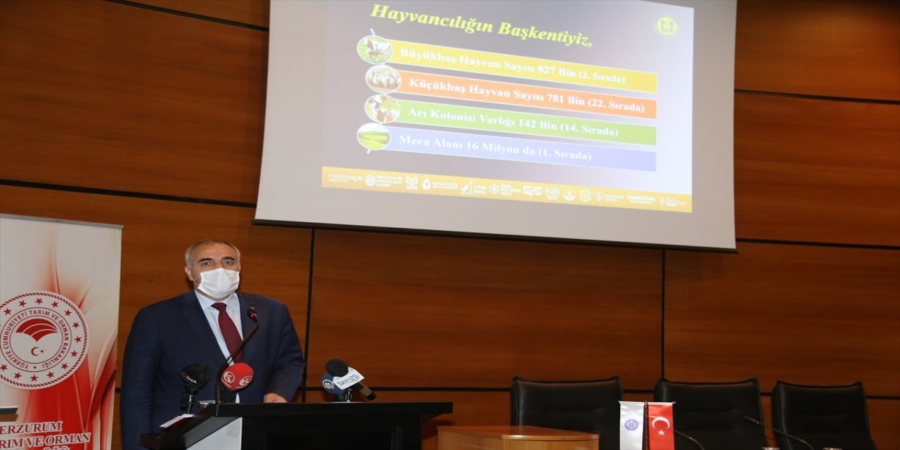 Erzurum Valisi Memiş: "Küçükbaş hayvanda bir yılda hedefimiz en az 2 milyon"