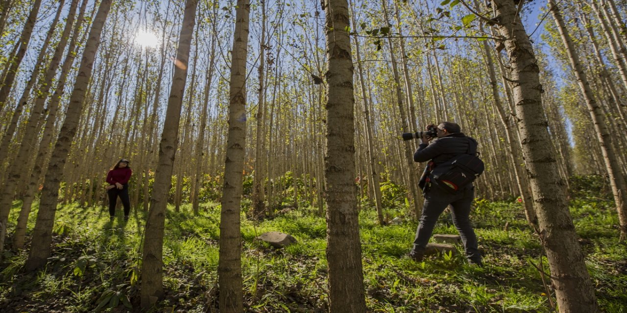 Diyarbakır'da sonbahar güzelliği yaşanıyor