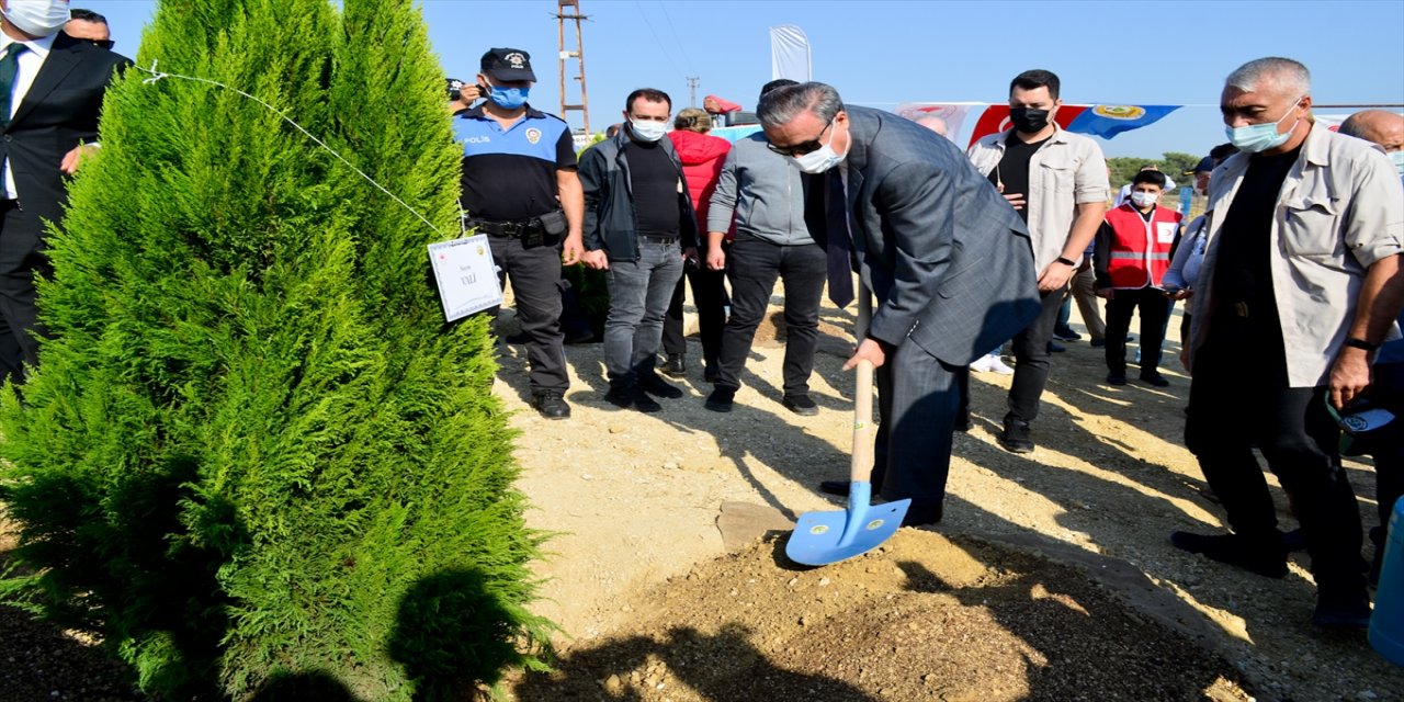 11 Kasım Milli Ağaçlandırma Günü