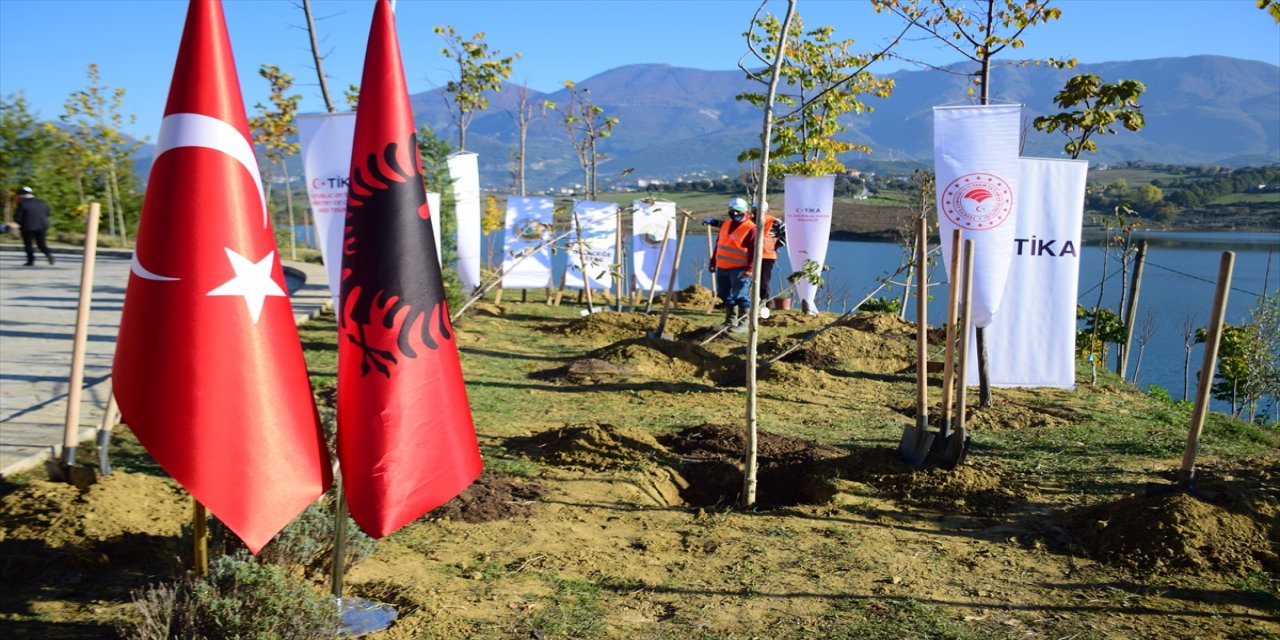 KKTC, Azerbaycan, Bosna Hersek ve Arnavutluk'ta binlerce fidan toprakla buluştu