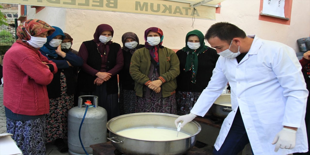 Samsun'da kırsal kesimde yaşayan kadınlara organik peynir yapımı öğretiliyor