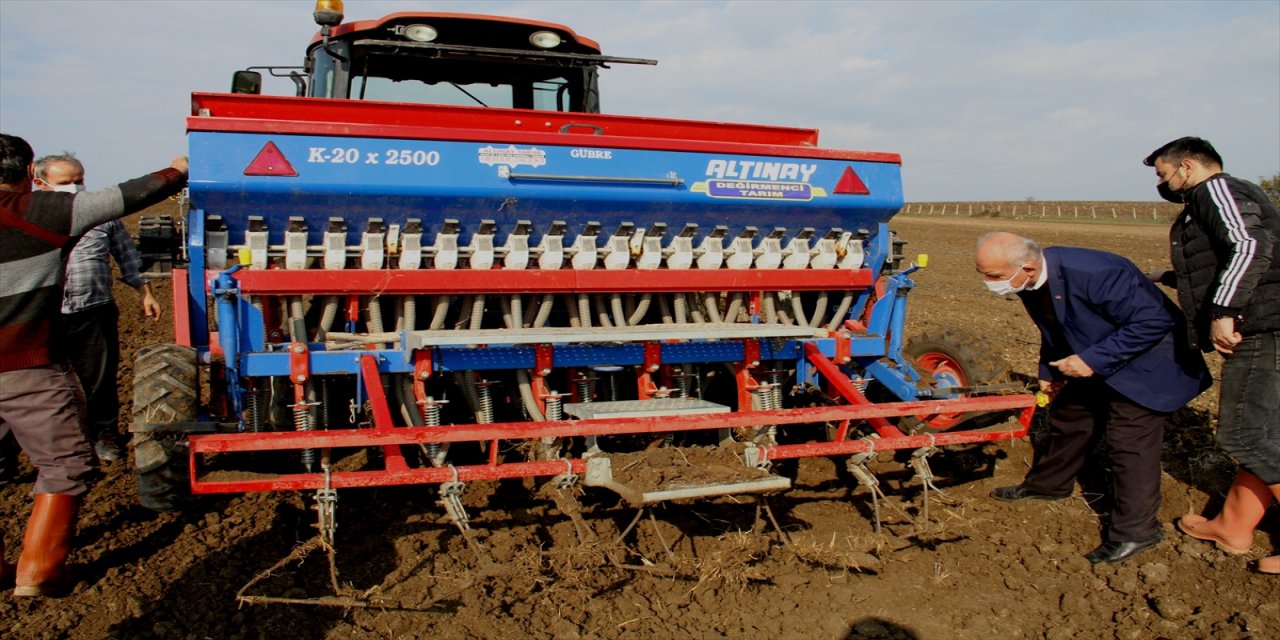 Samsun'da Bafra Ovası'nda 2021 yılı hububat ekimi başladı